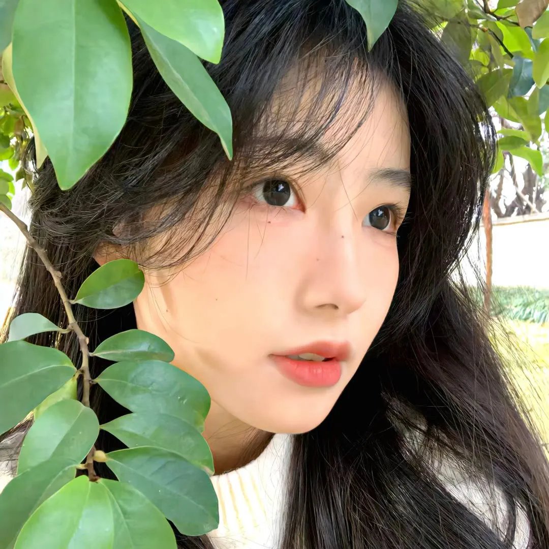 暴风一族